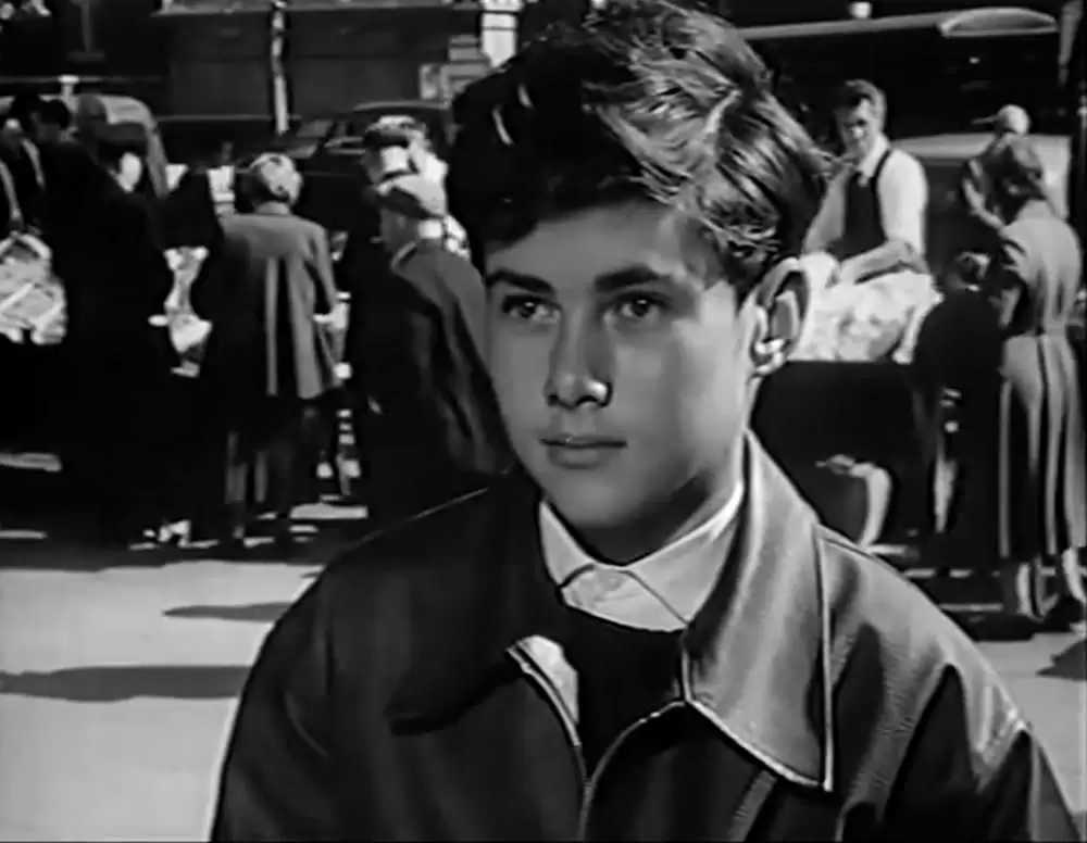 少年が知っている!の画像