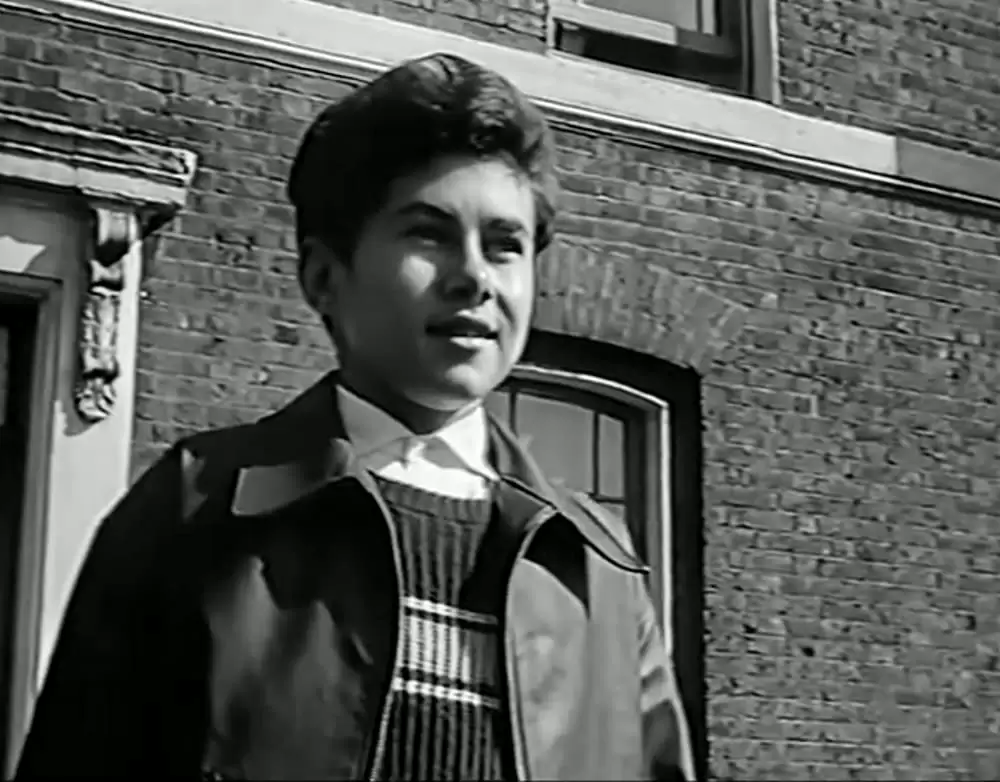 少年が知っている!の画像