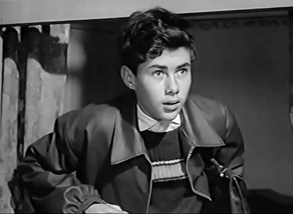 少年が知っている!の画像