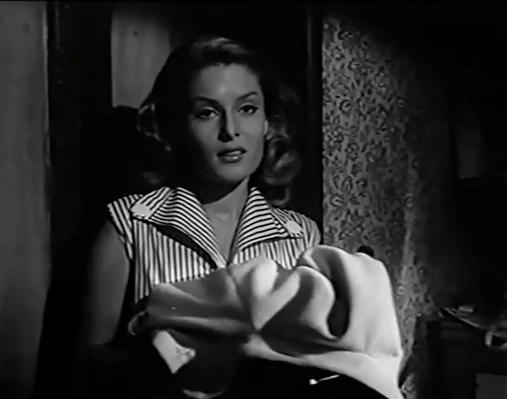 少年が知っている!の画像