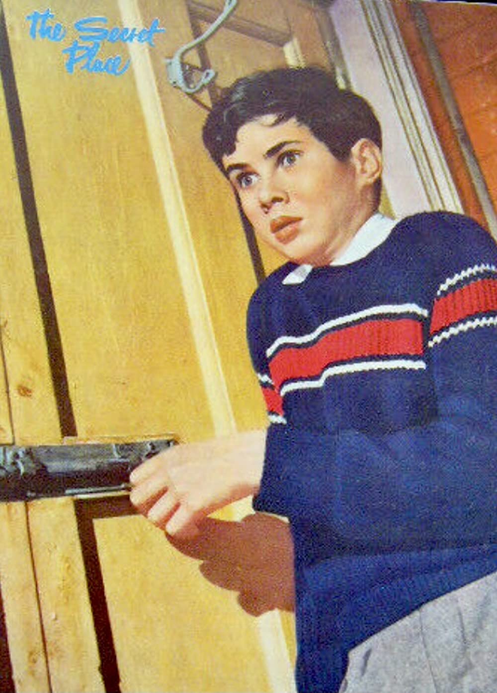 少年が知っている!の画像