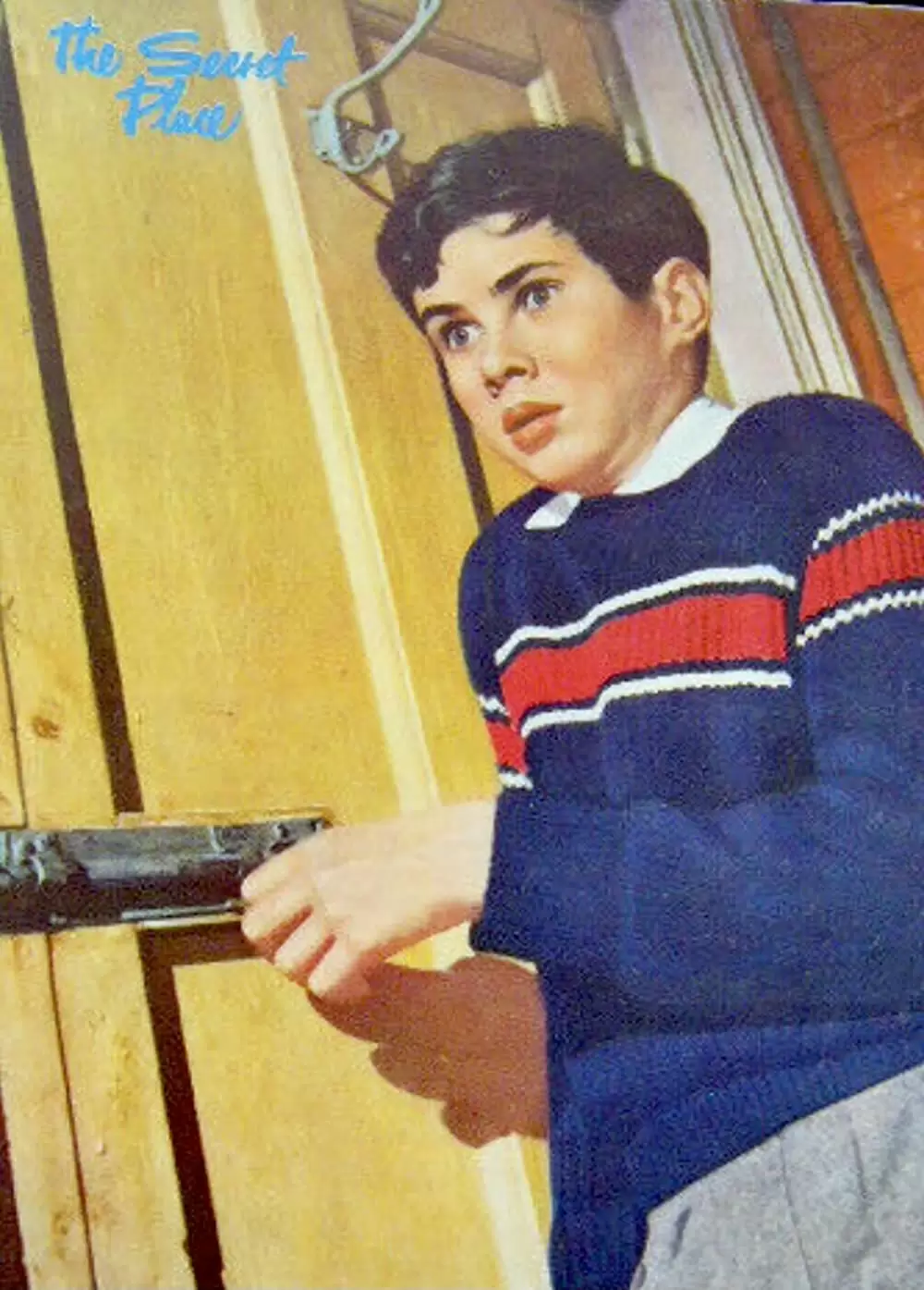 少年が知っている!の画像