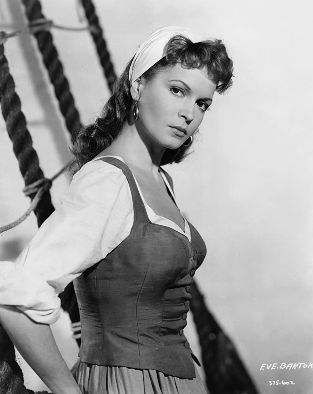 真紅の盗賊の画像