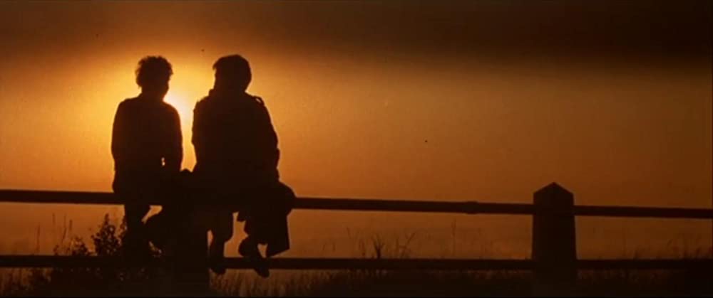 スーパーカー・フェラーリ／青春の暴走の画像