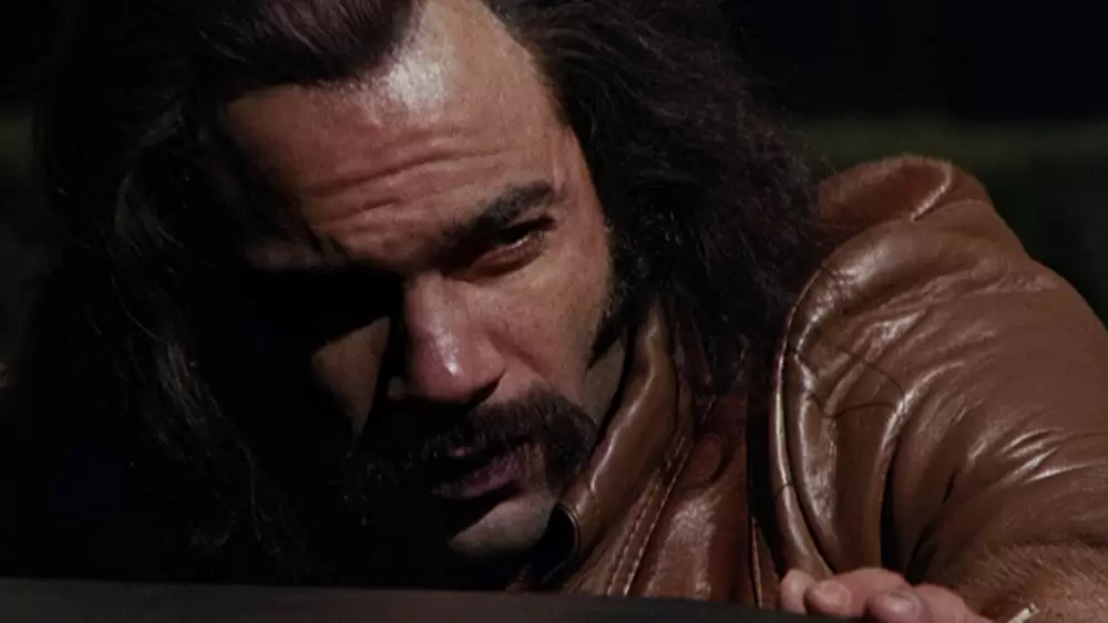 スーパーフライの画像