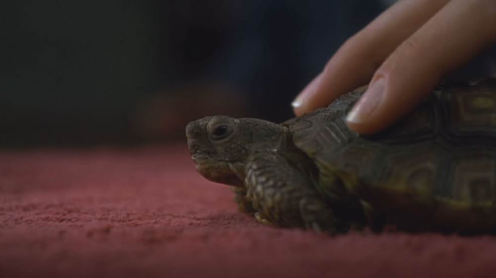 好きと言えなくての画像