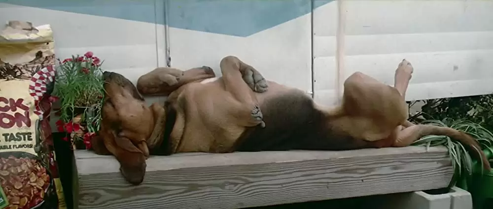 スター・ファイターの画像