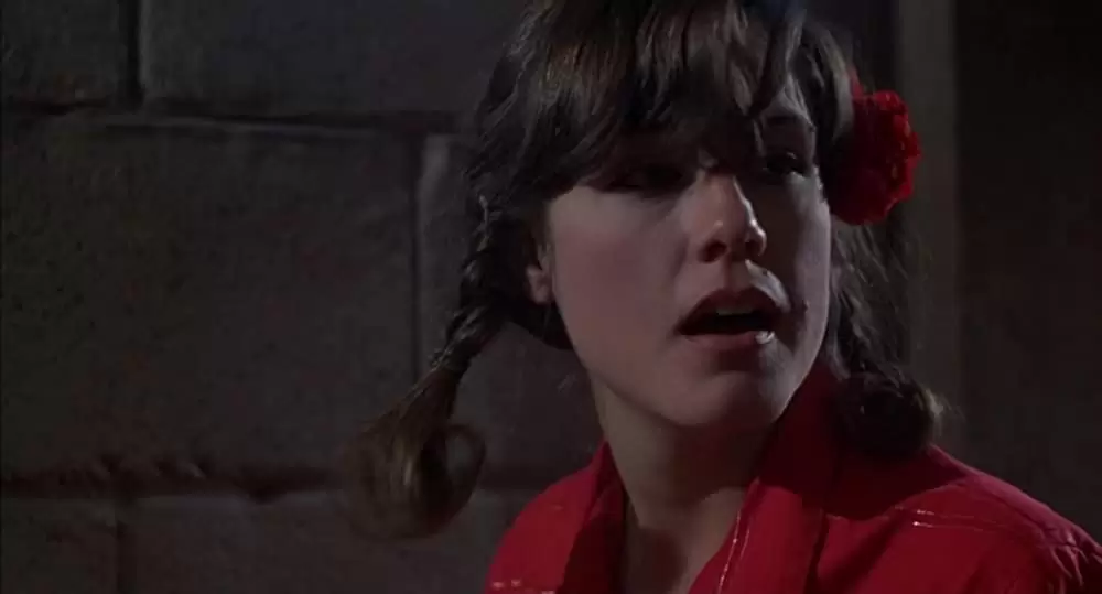 ブルース・ブラザースの画像