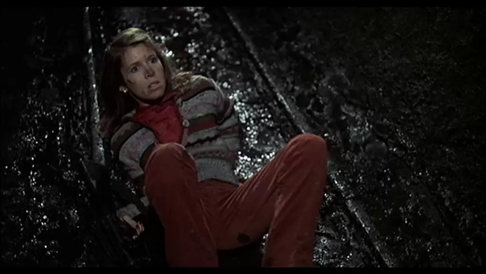 ブルース・ブラザースの画像