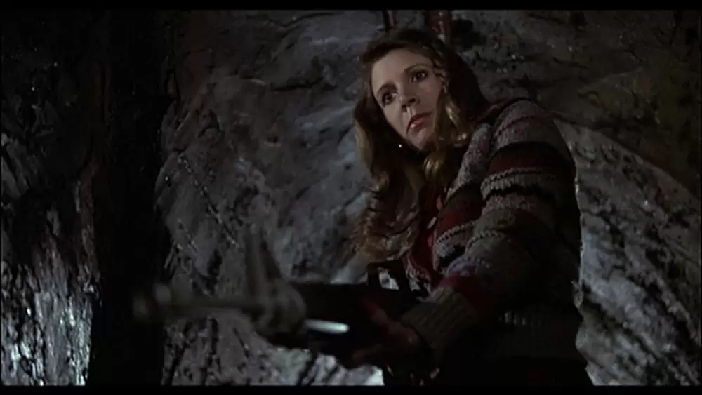 ブルース・ブラザースの画像