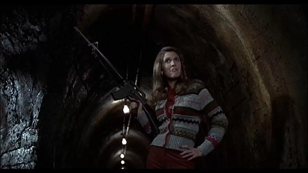 ブルース・ブラザースの画像