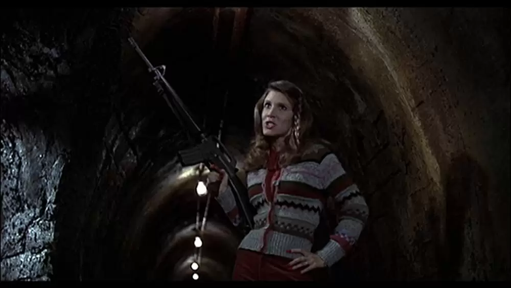 ブルース・ブラザースの画像