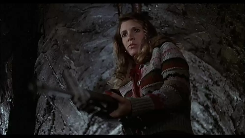 ブルース・ブラザースの画像