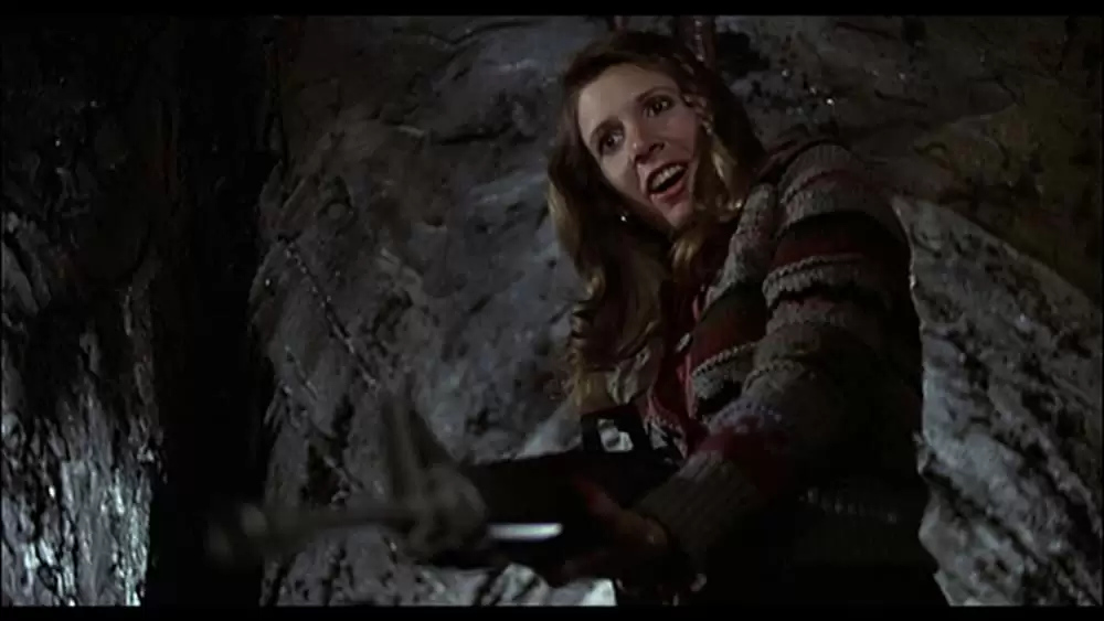 ブルース・ブラザースの画像