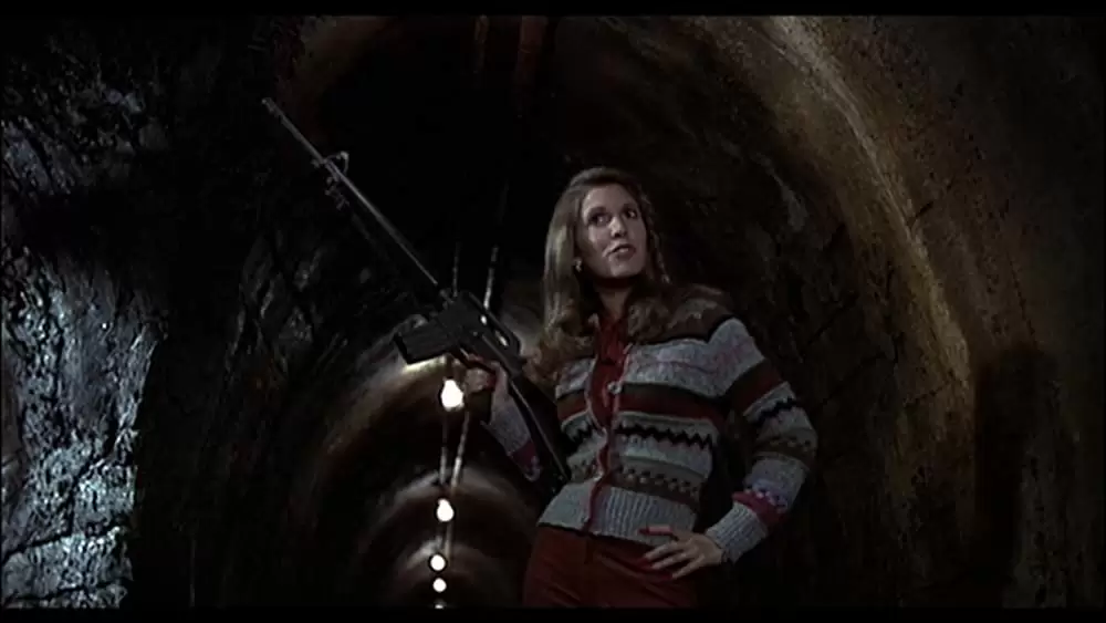 ブルース・ブラザースの画像