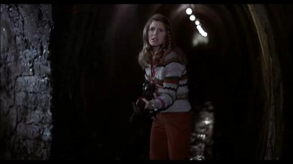 ブルース・ブラザースの画像