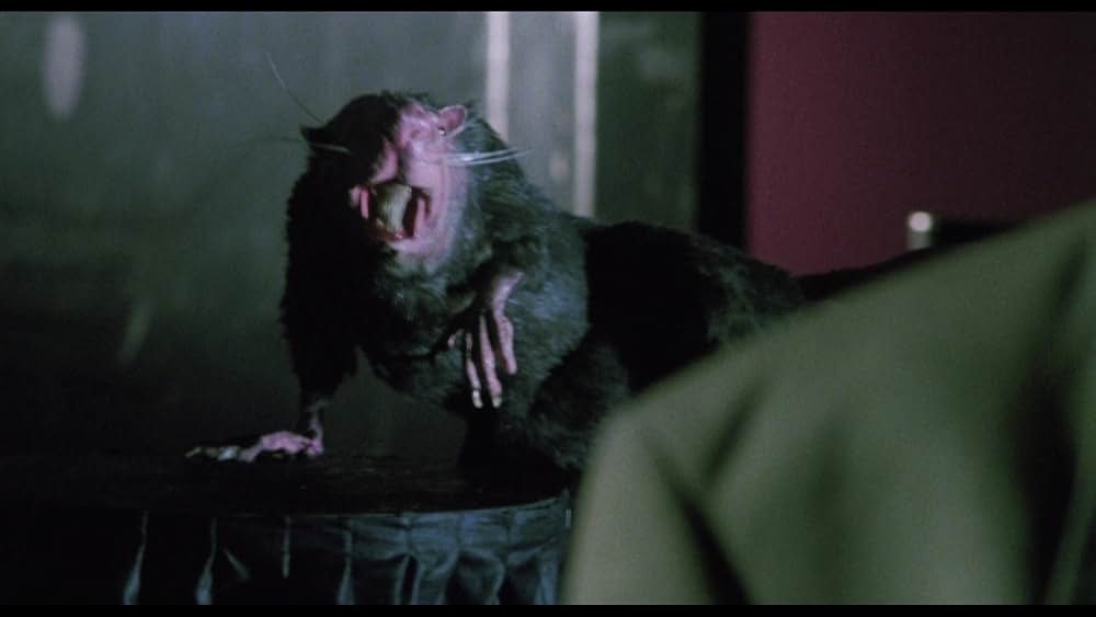 スプリット・セカンドの画像