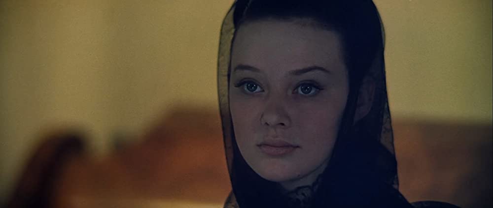 戦争と平和の画像