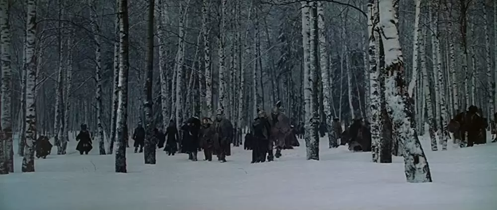 戦争と平和の画像