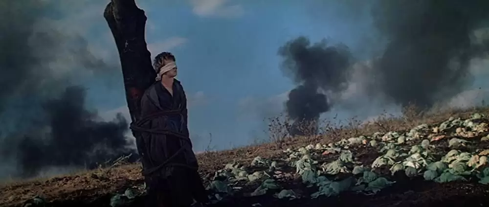 戦争と平和の画像