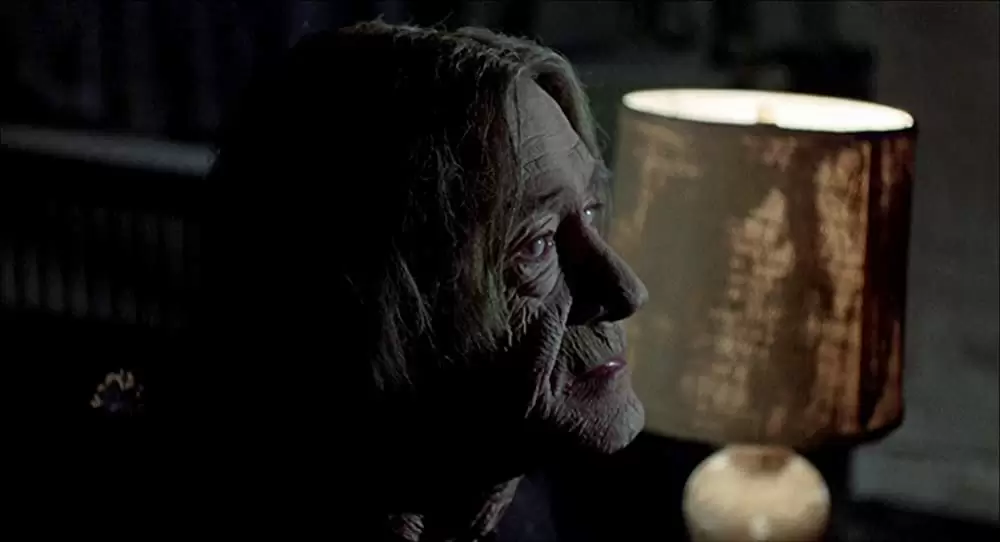 「センチネル」ジョン・キャラダインの画像