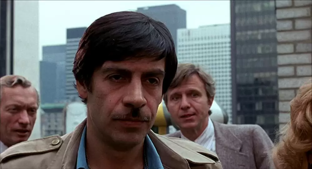 センチネルの画像