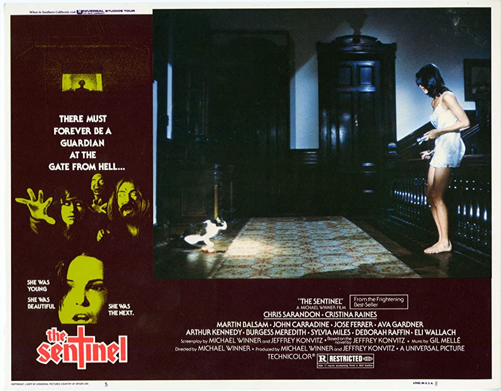 センチネルの画像