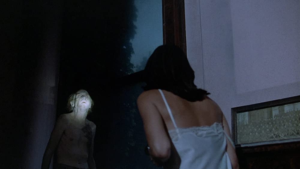 センチネルの画像