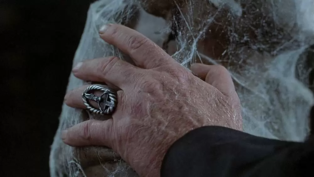 センチネルの画像