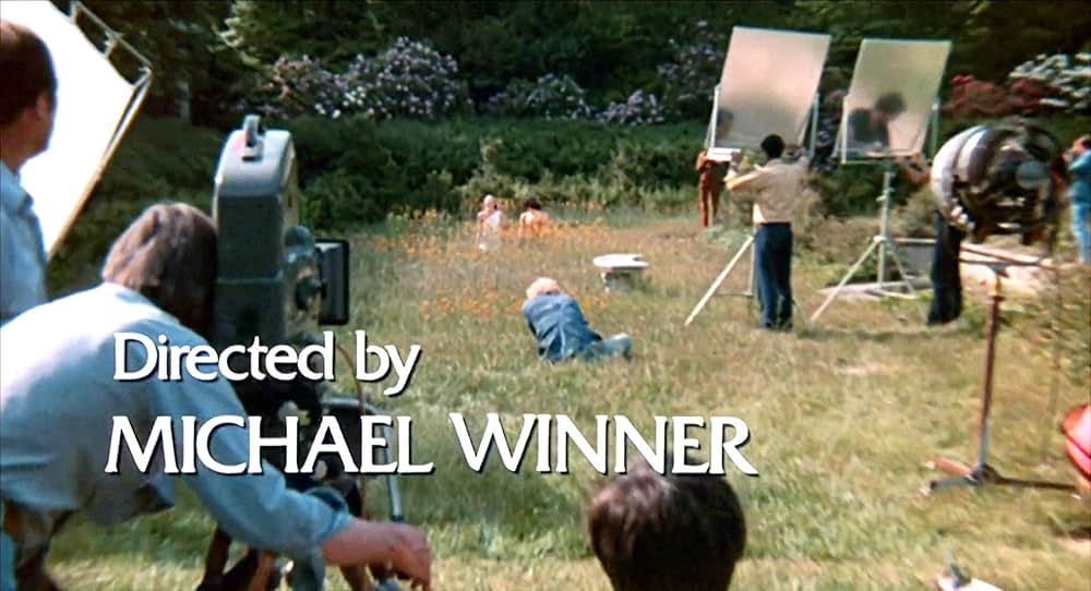 センチネルの画像