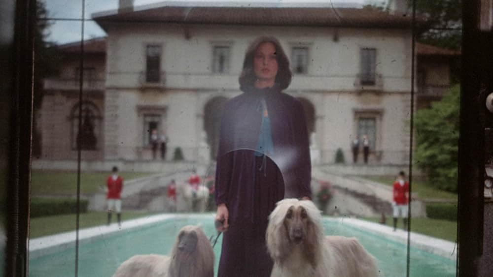 センチネルの画像