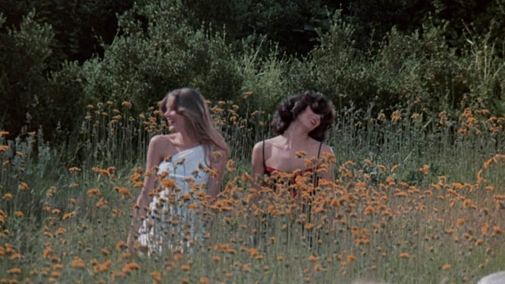 センチネルの画像