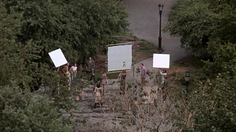 センチネルの画像