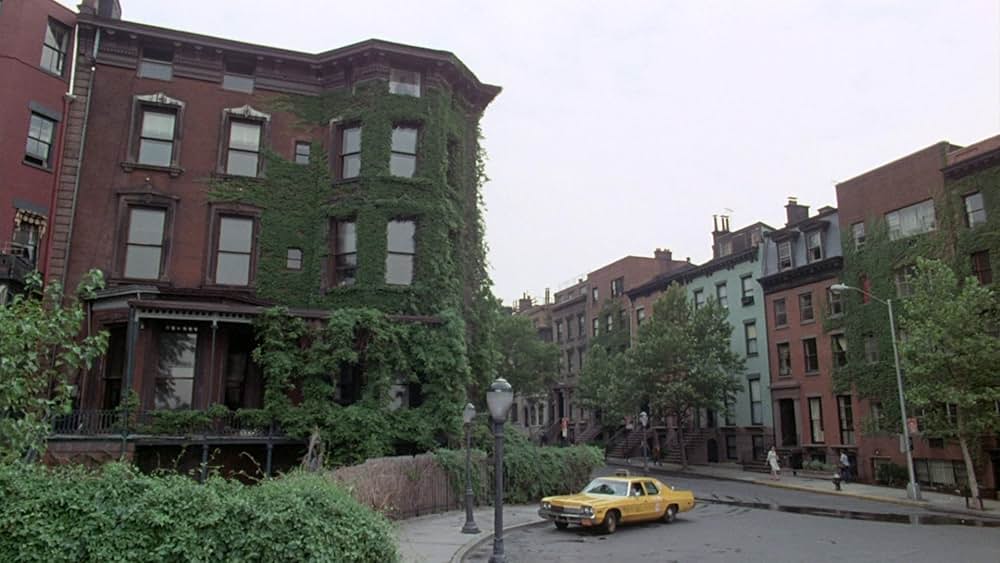 センチネルの画像