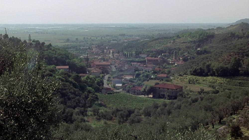 センチネルの画像