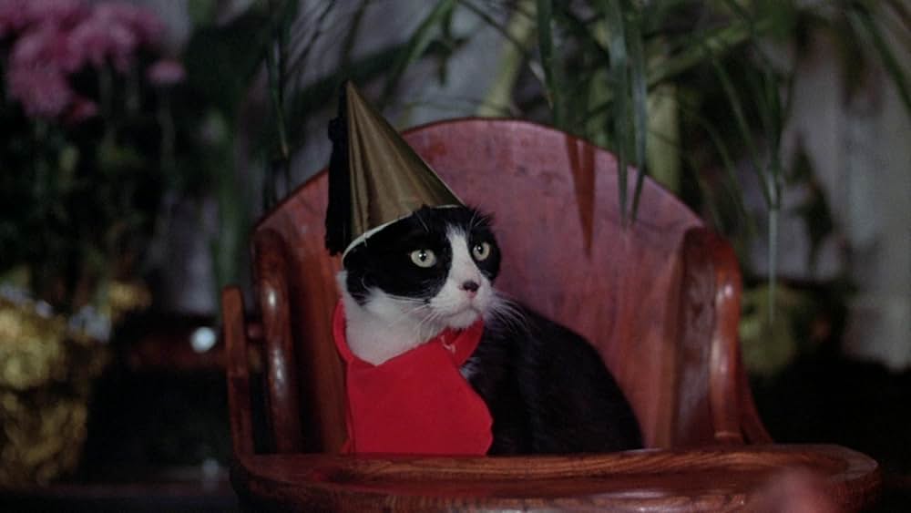 センチネルの画像