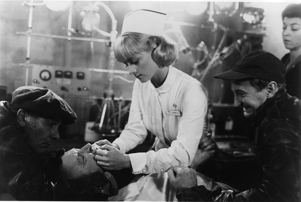 ゾンゲリアの画像