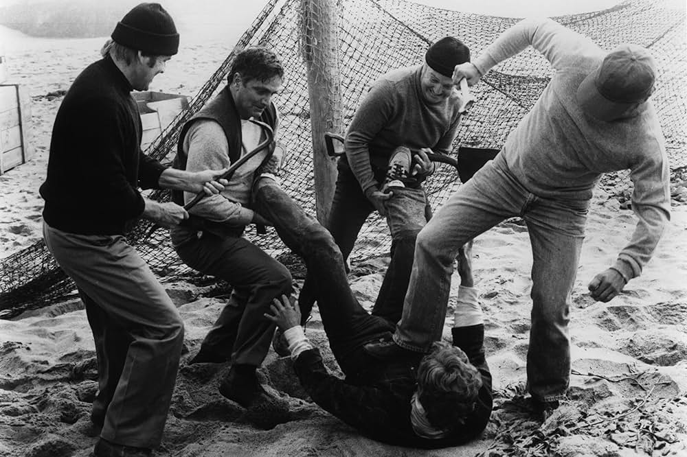 ゾンゲリアの画像