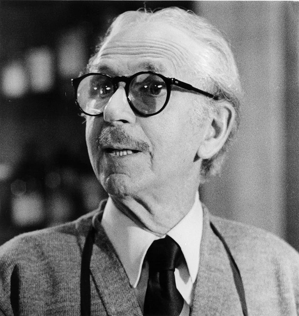 ゾンゲリアの画像