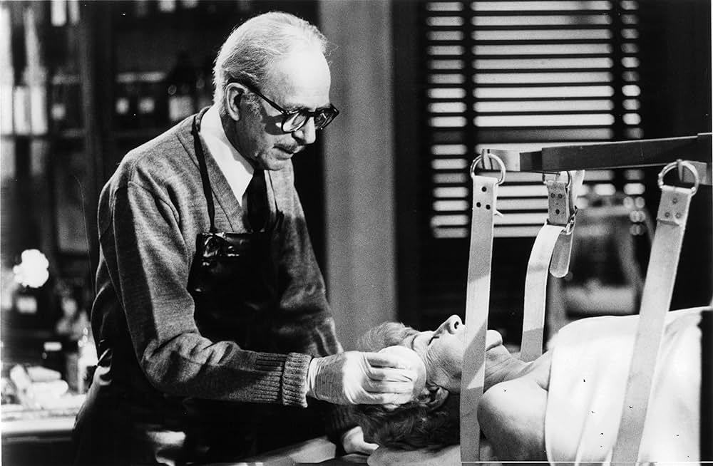 ゾンゲリアの画像