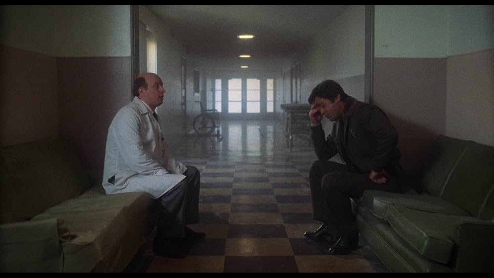 ゾンゲリアの画像