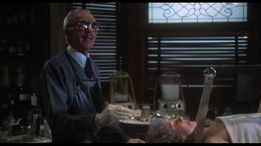 ゾンゲリアの画像