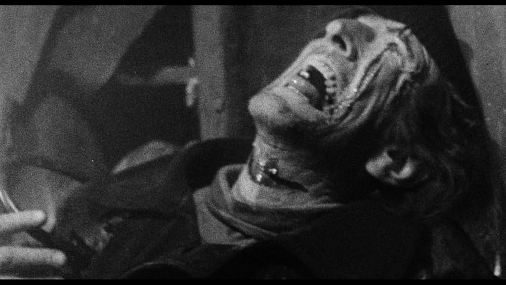 ゾンゲリアの画像