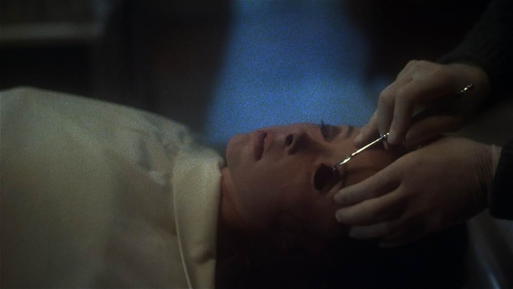 ゾンゲリアの画像