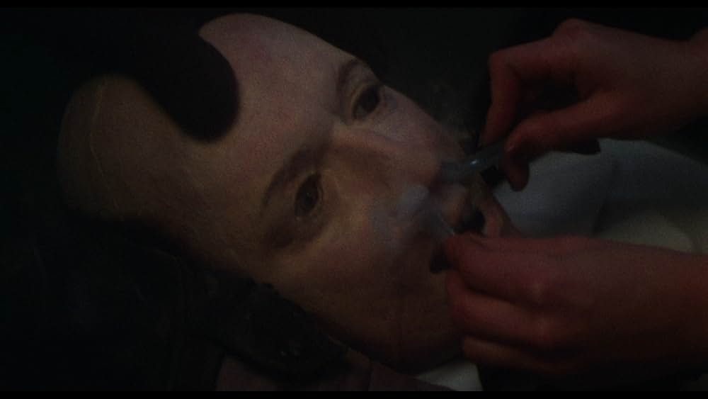 ゾンゲリアの画像