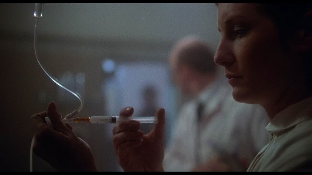 ゾンゲリアの画像