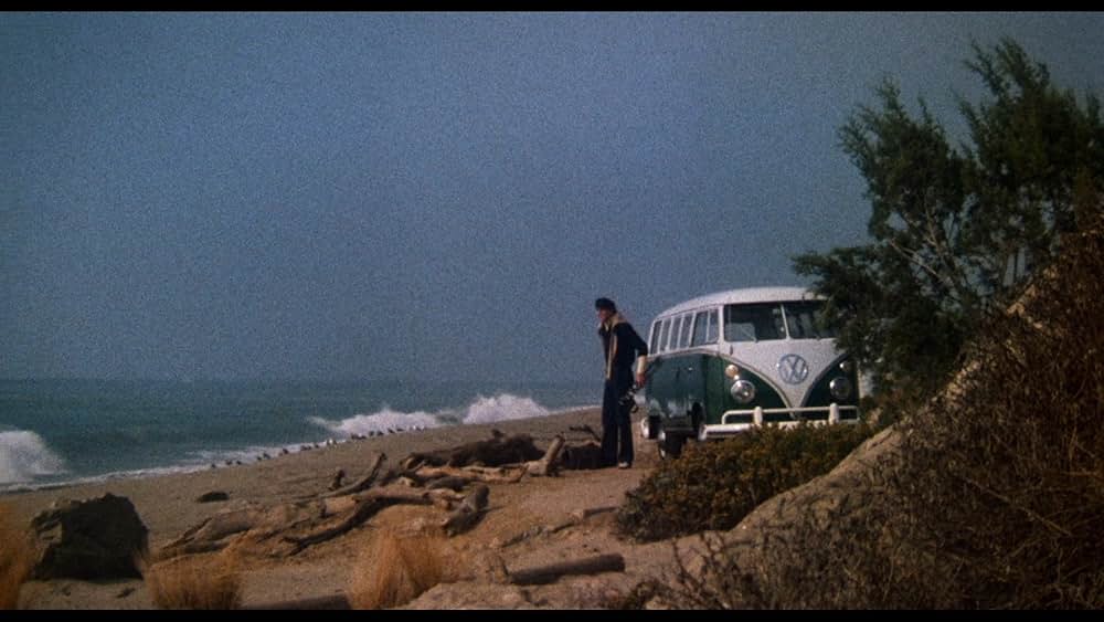 ゾンゲリアの画像