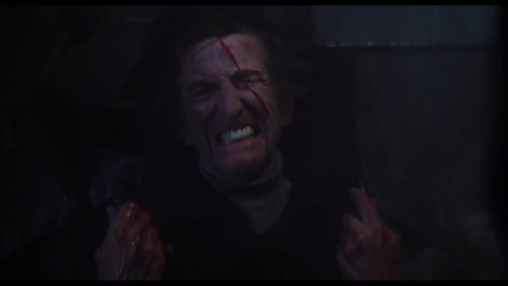 ゾンゲリアの画像