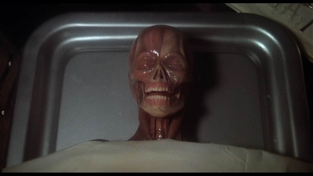 ゾンゲリアの画像