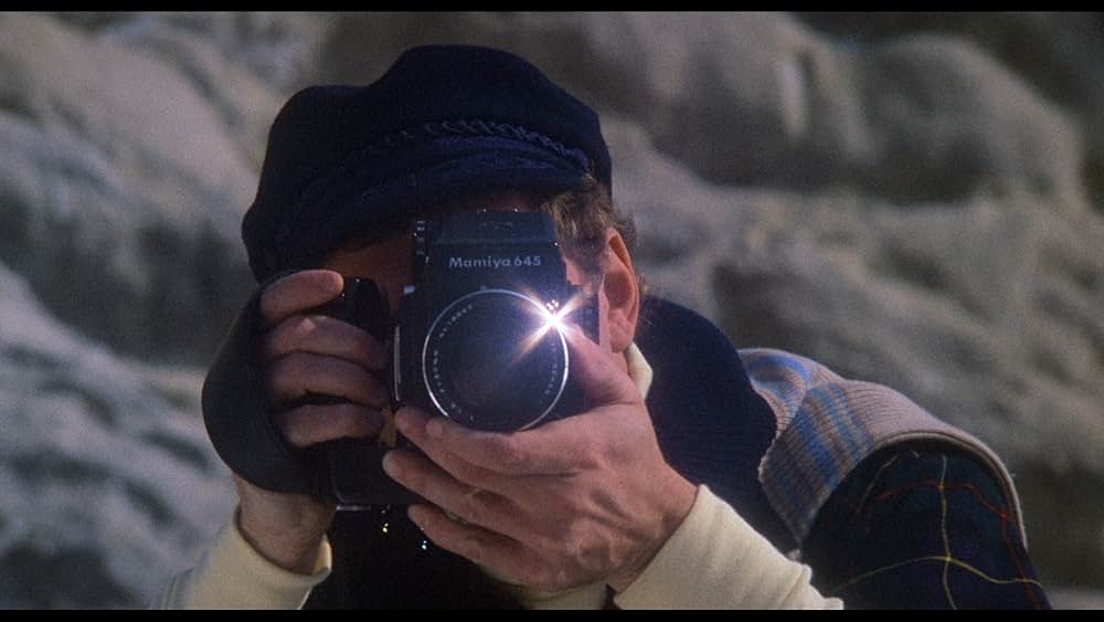 ゾンゲリアの画像